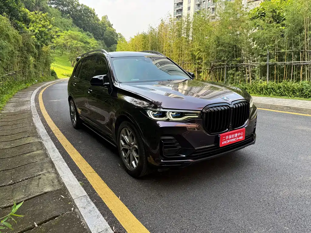 BMW X7 — миниатюра 3