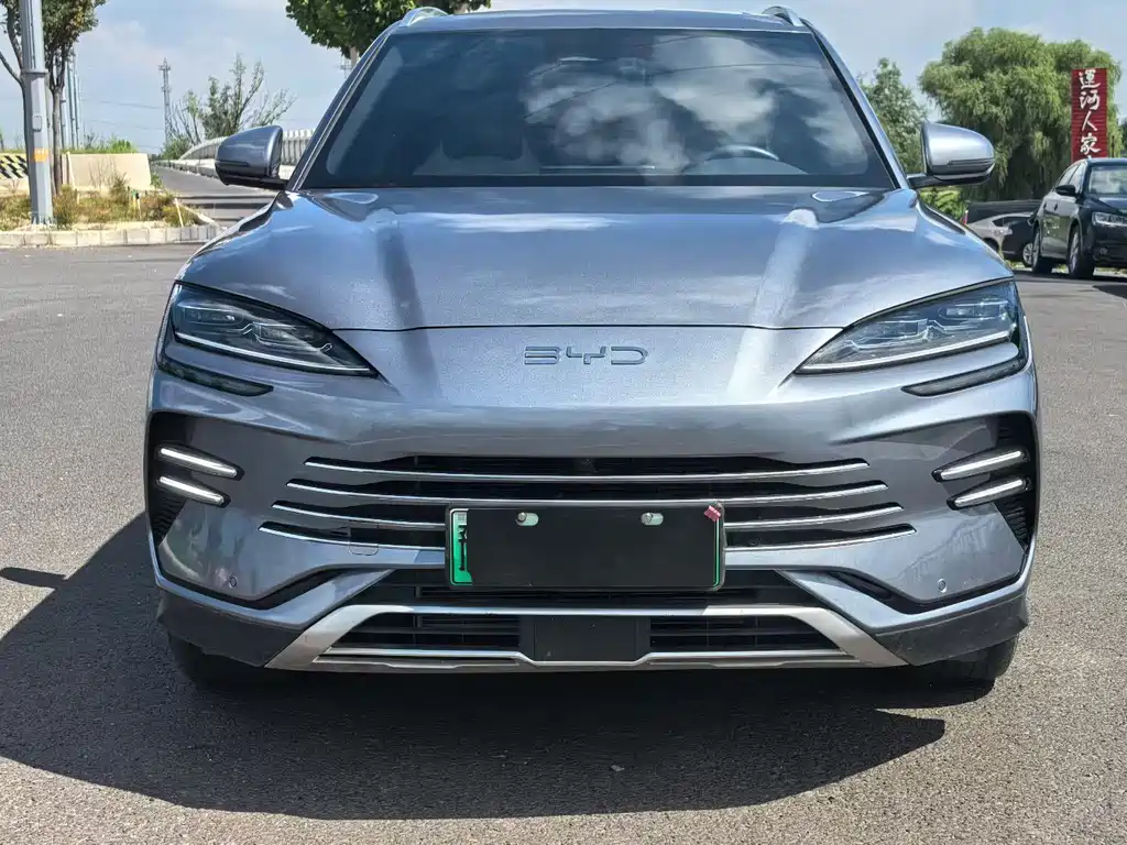 BYD PLUS New Energy - фото 2