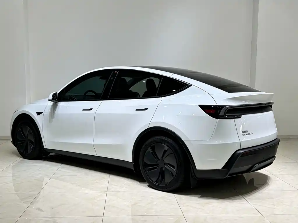 Tesla Model Y — миниатюра 20