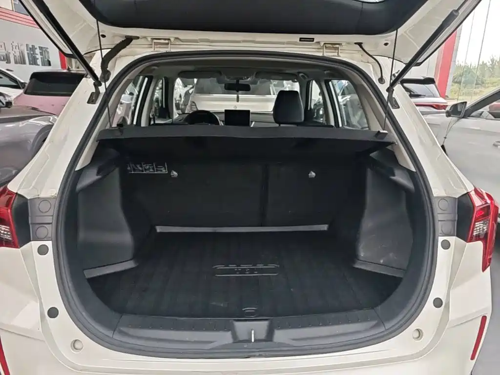 Venucia T60 EV — миниатюра 19