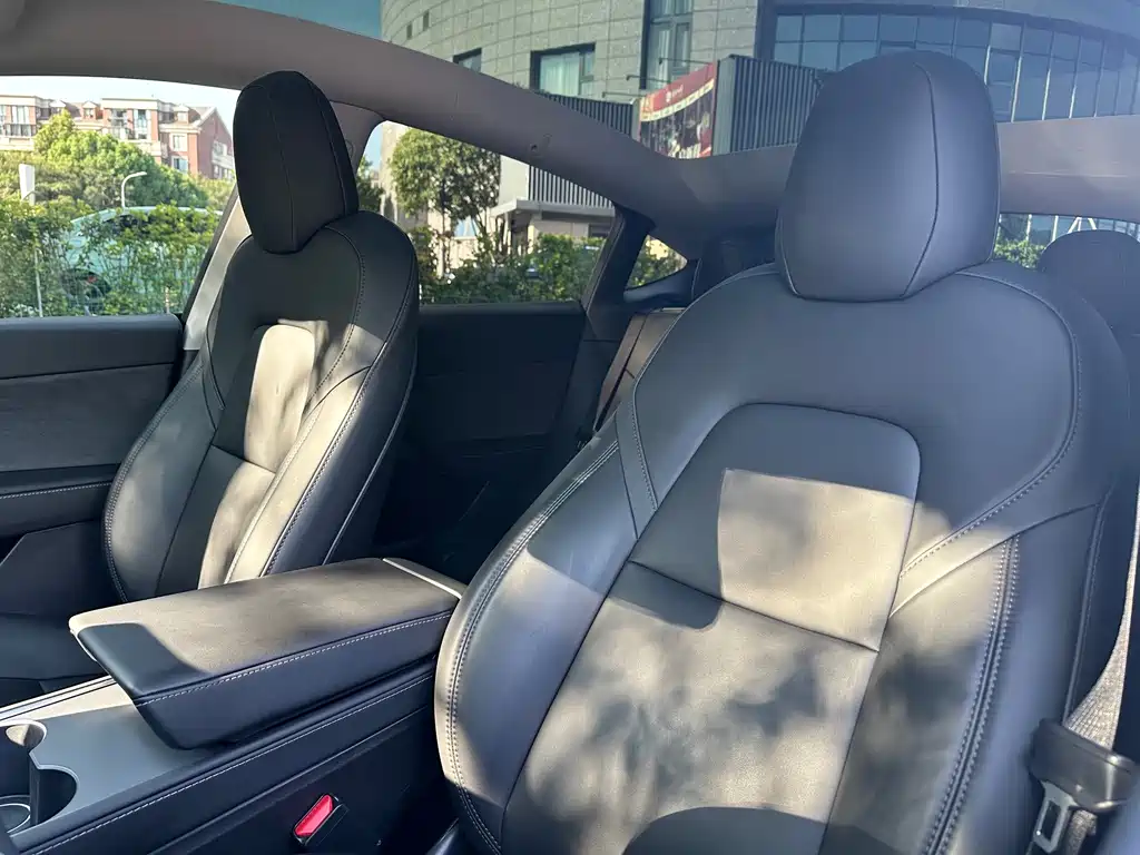 Tesla Model Y — миниатюра 11