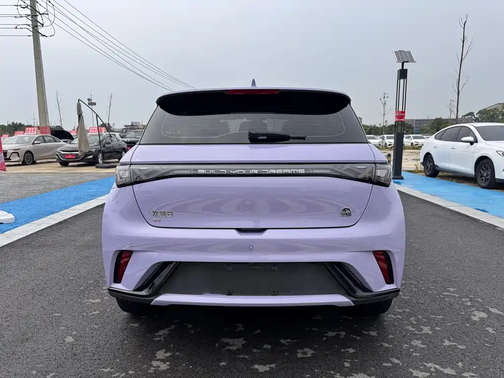 BYD Dolphin — миниатюра 24