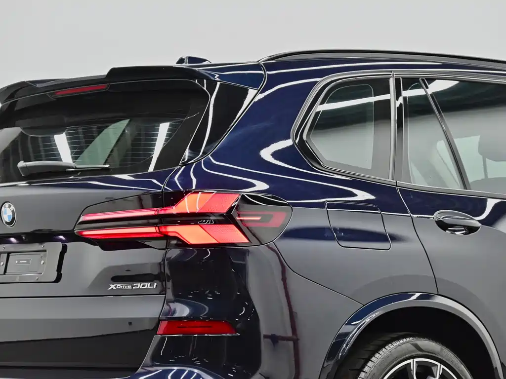 BMW X5 — миниатюра 33