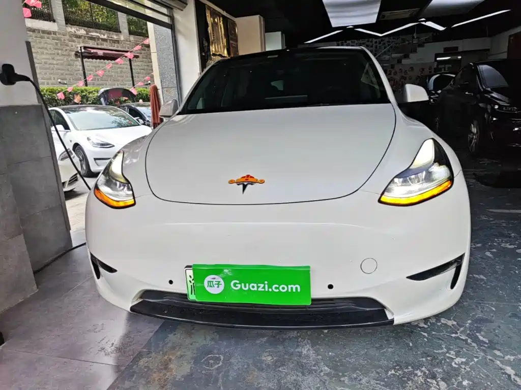 Tesla Model Y — миниатюра 3