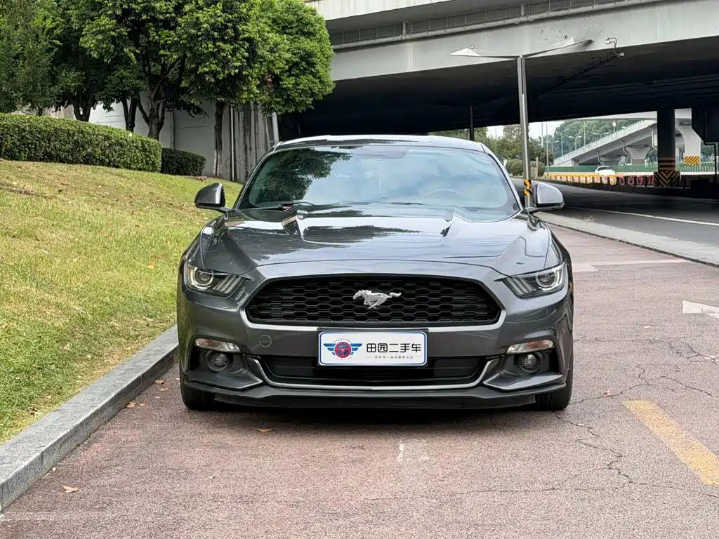 Ford Mustang — миниатюра 2