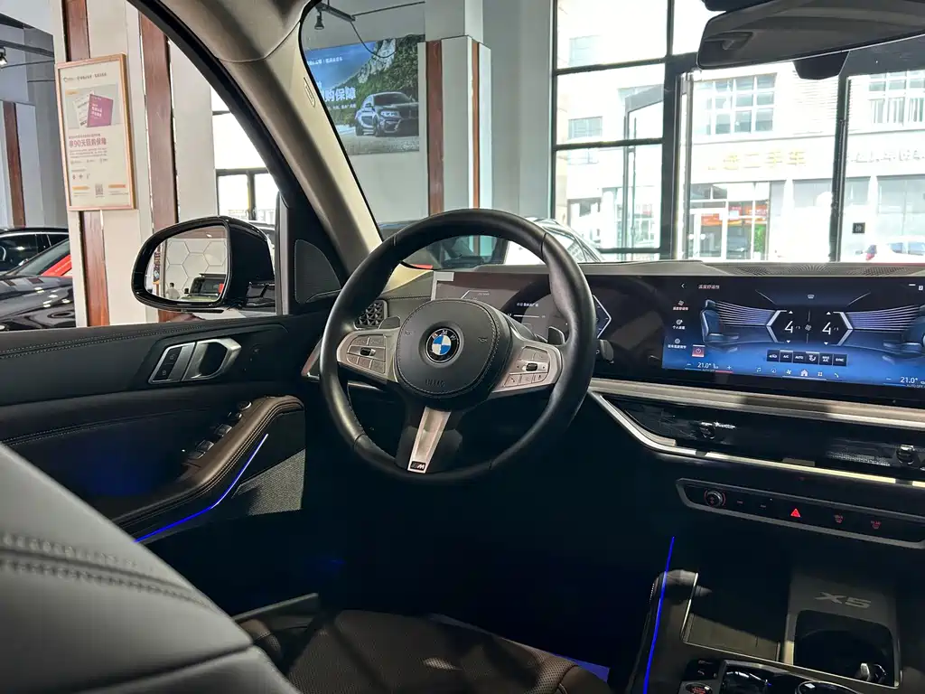 BMW X5 — миниатюра 24