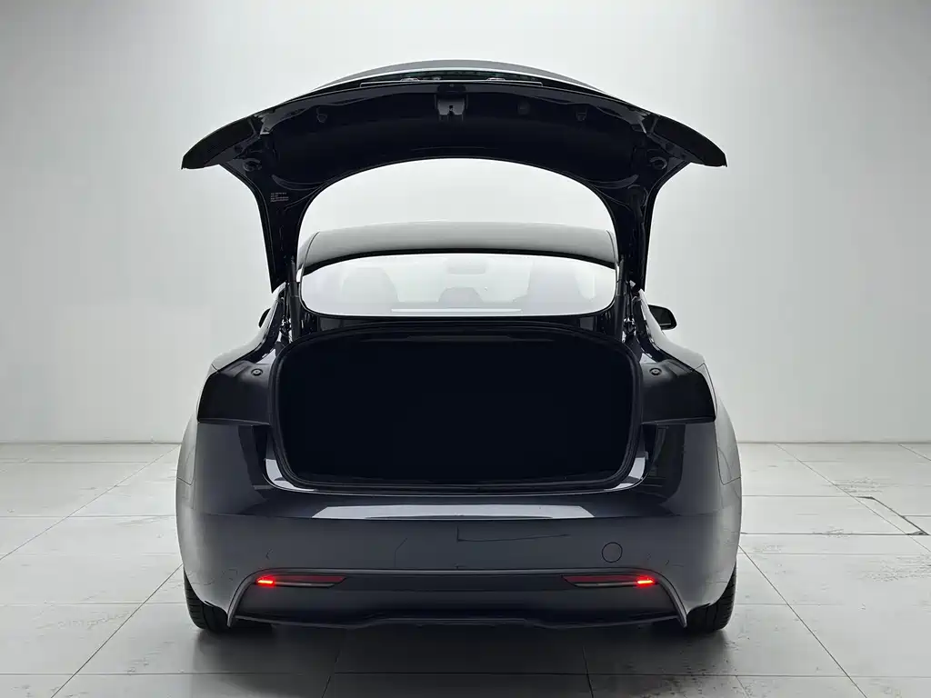 Tesla Model 3 — миниатюра 23