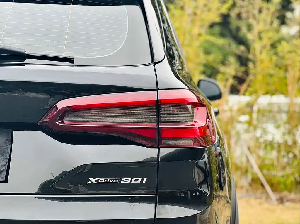 BMW X5 2022 xDrive30i M Sport