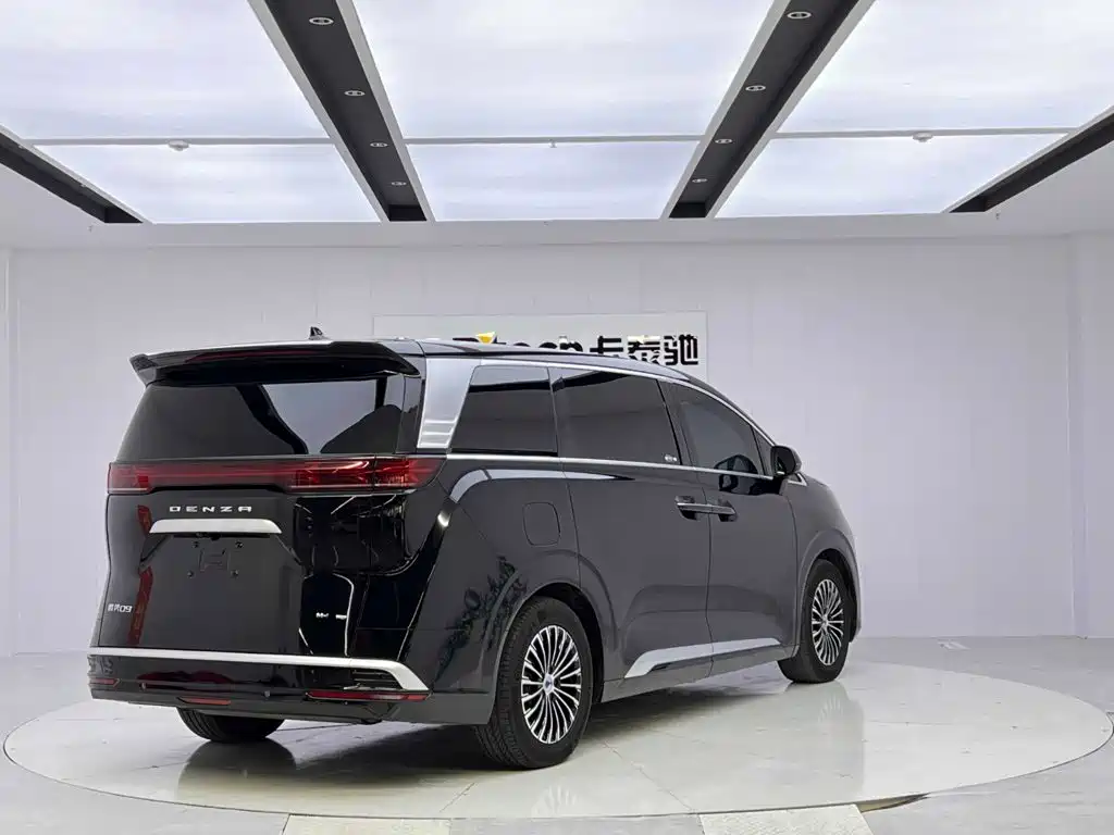 Denza Denza D9 — миниатюра 5