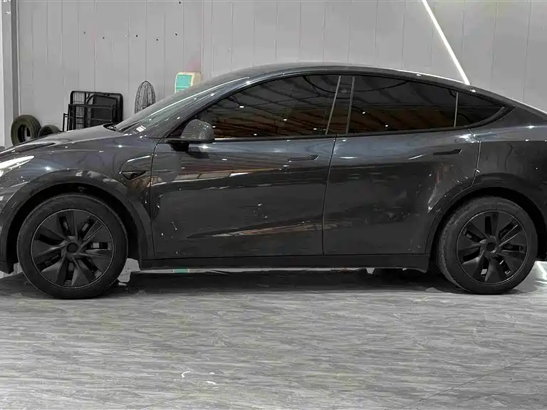 Tesla Model Y — миниатюра 4