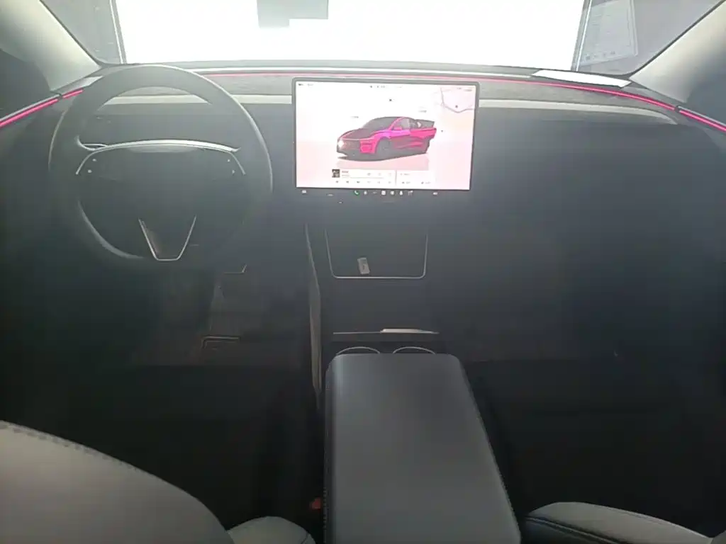 Tesla Model Y — миниатюра 10