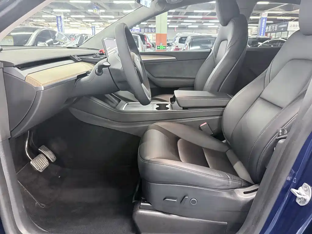 Tesla Model Y — миниатюра 8
