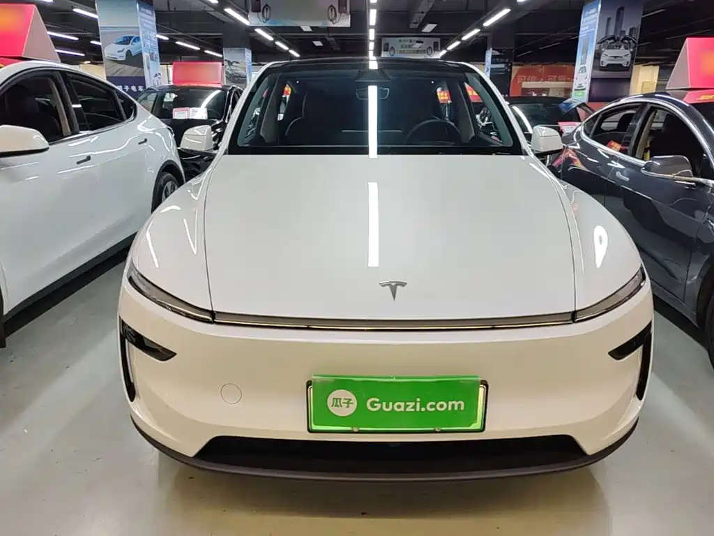 Tesla Model Y — миниатюра 3