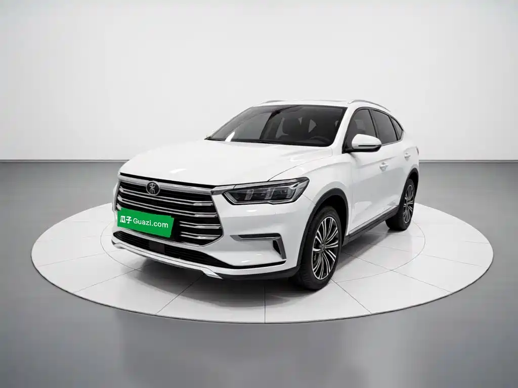 BYD Pro New Energy — миниатюра 2
