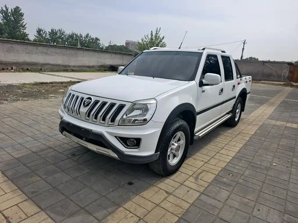 Foton Sapu 2019
