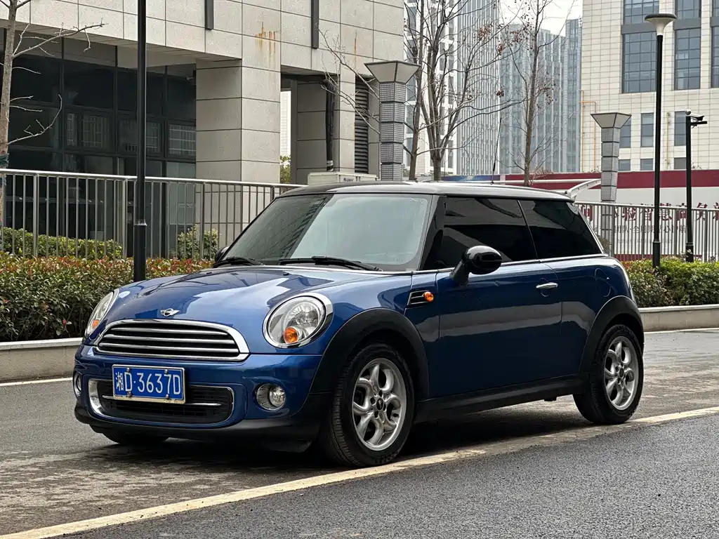 Mini Mini 2014