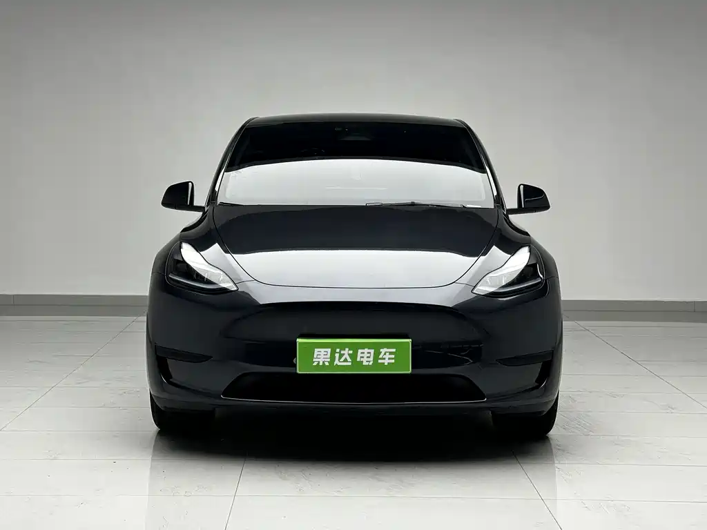 Tesla Model Y — миниатюра 2