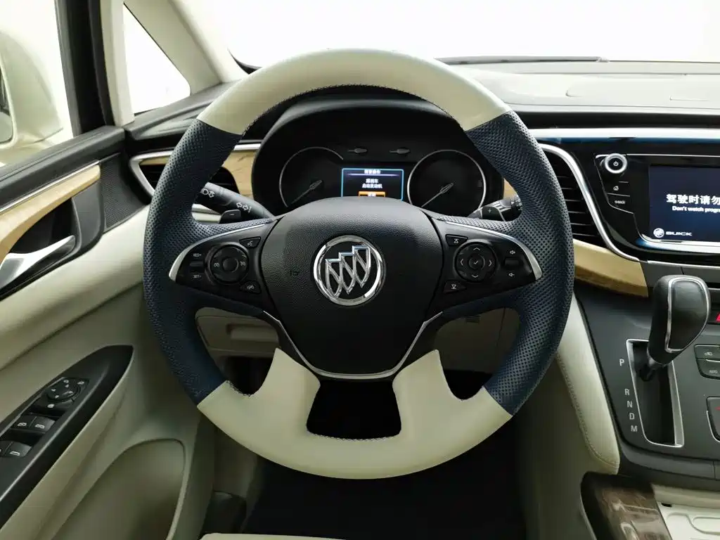 Buick GL8 — миниатюра 11