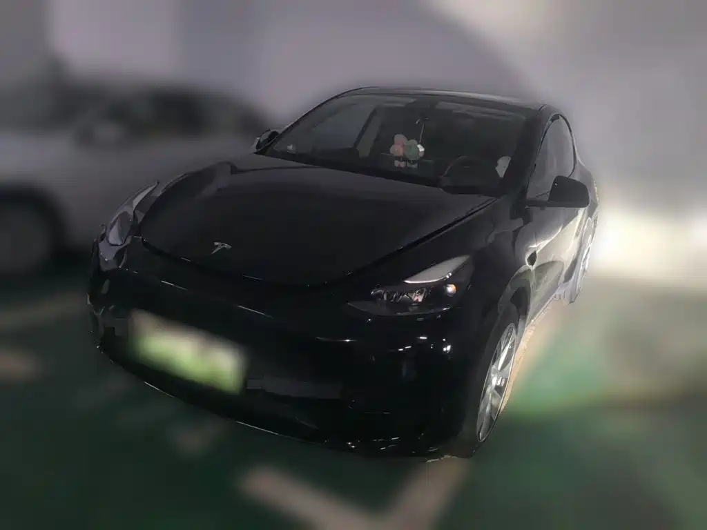 Tesla Model Y — миниатюра 2