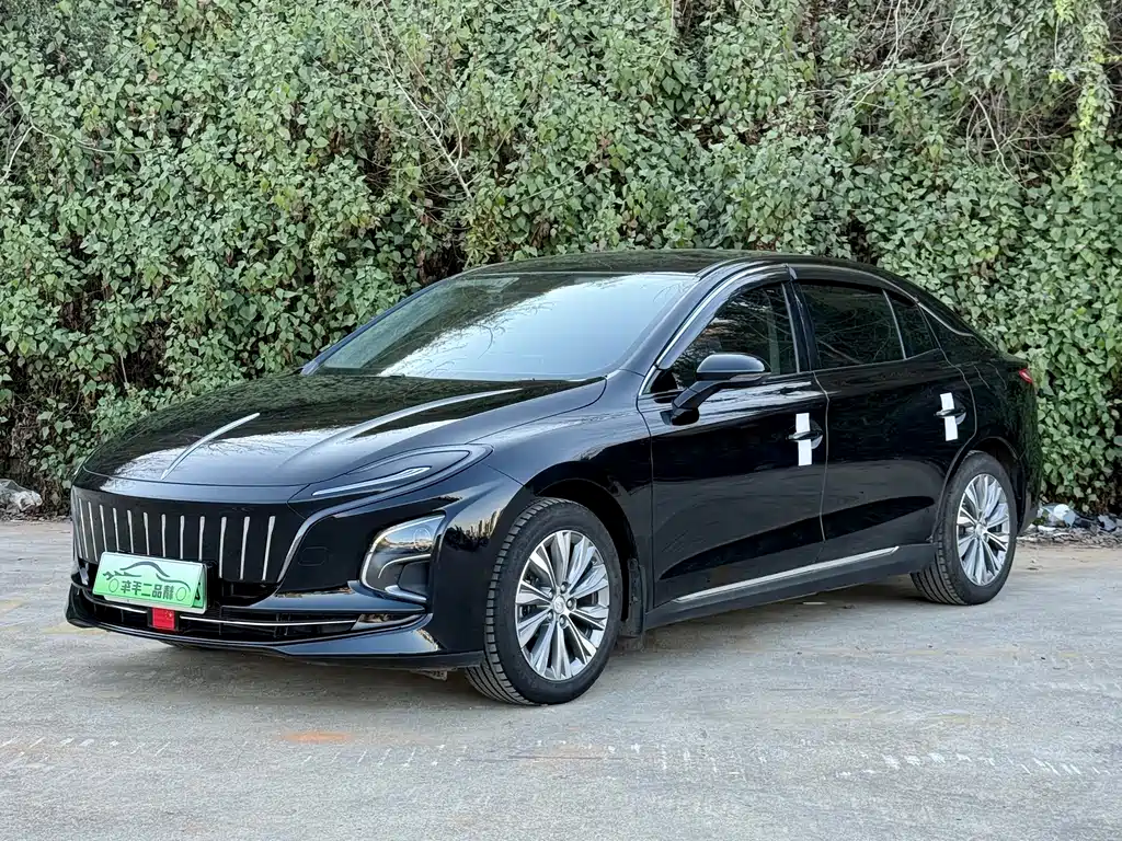 Hongqi HONGQI E QM5