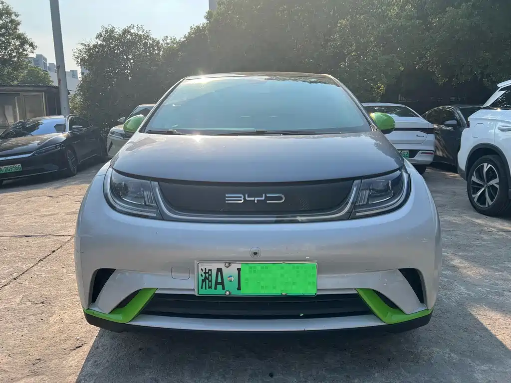 BYD Dolphin — миниатюра 2