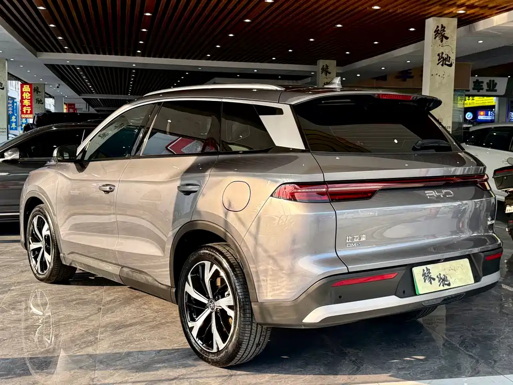 BYD Pro New Energy — миниатюра 4
