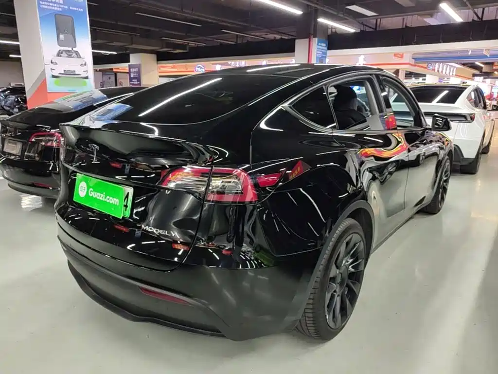 Tesla Model Y — миниатюра 7