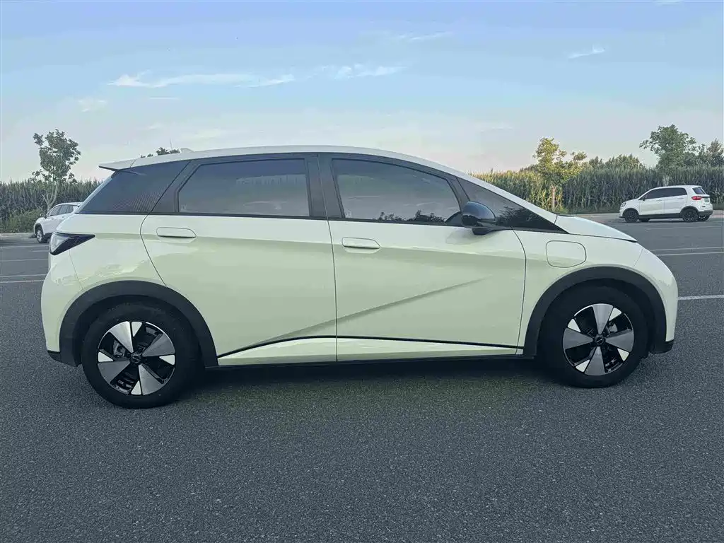 BYD Dolphin — миниатюра 16