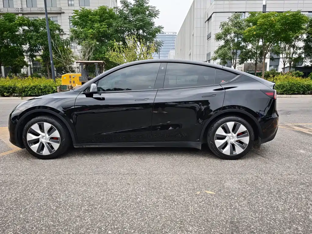 Tesla Model Y — миниатюра 8