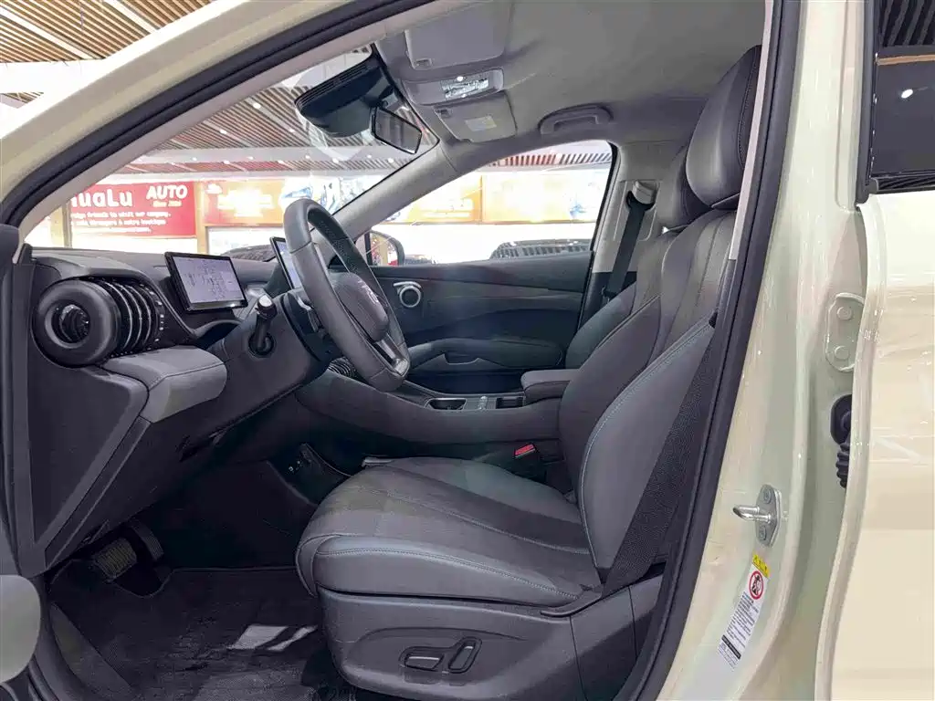 BYD Yuan Plus — миниатюра 10