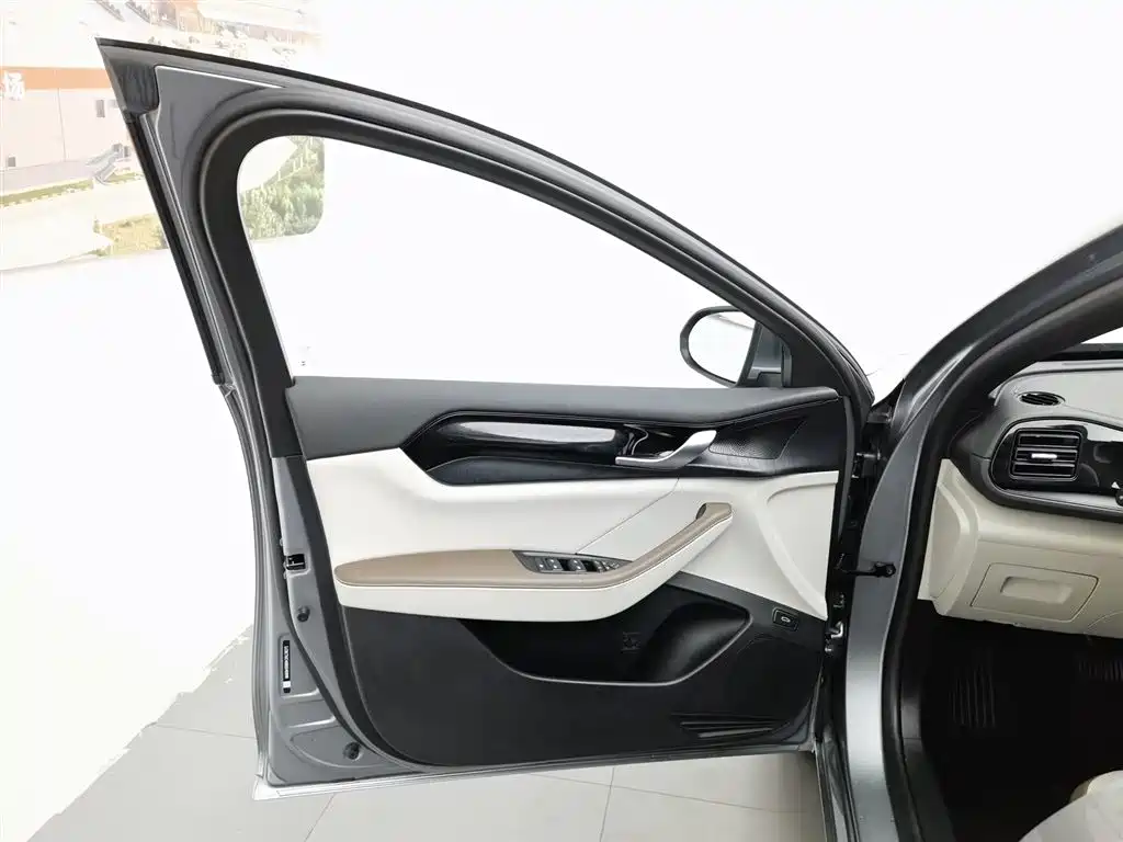 BYD Qin Plus PLUS 2024 DM-i 55KM Lead