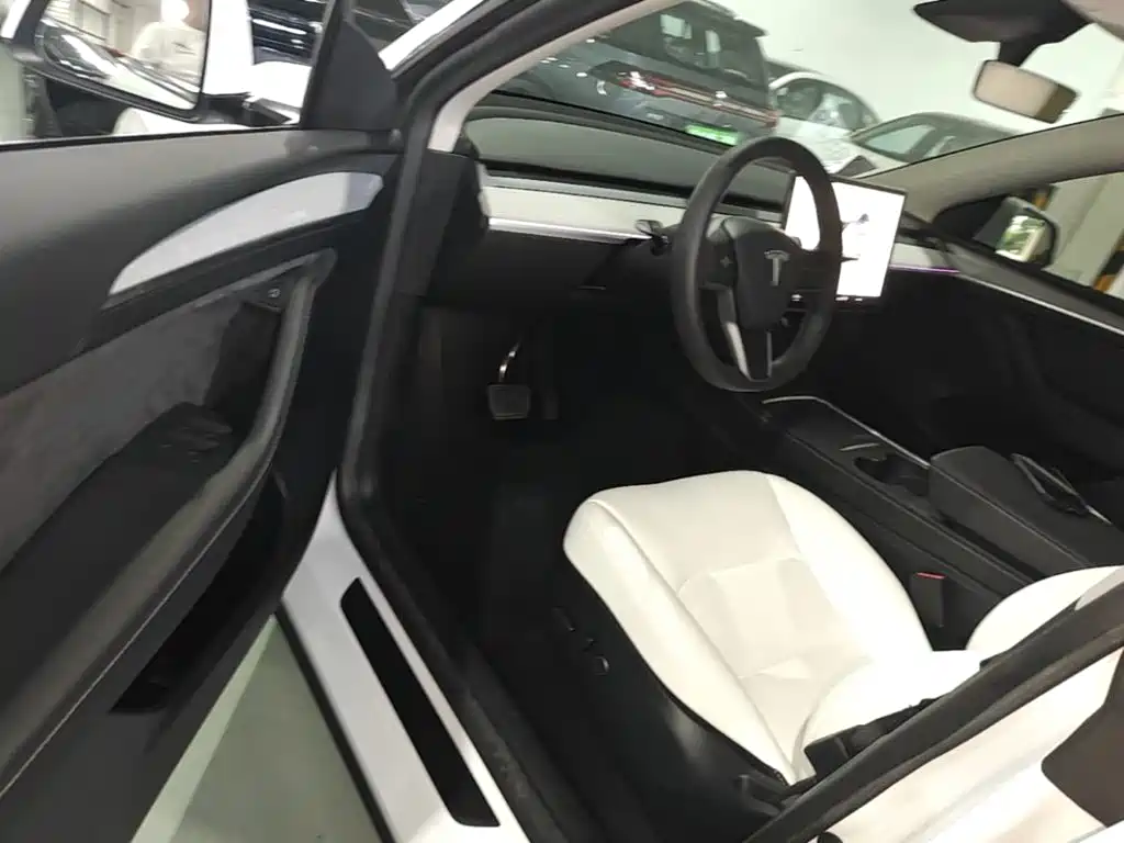 Tesla Model Y — миниатюра 16