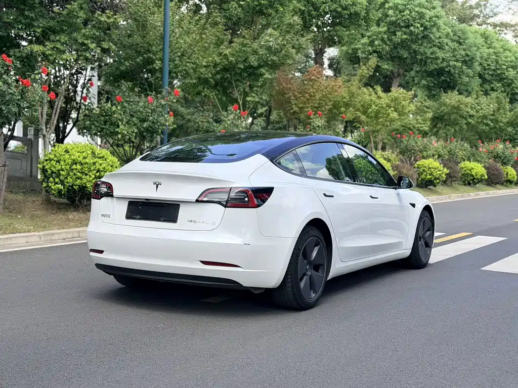 Tesla Model 3 — миниатюра 4