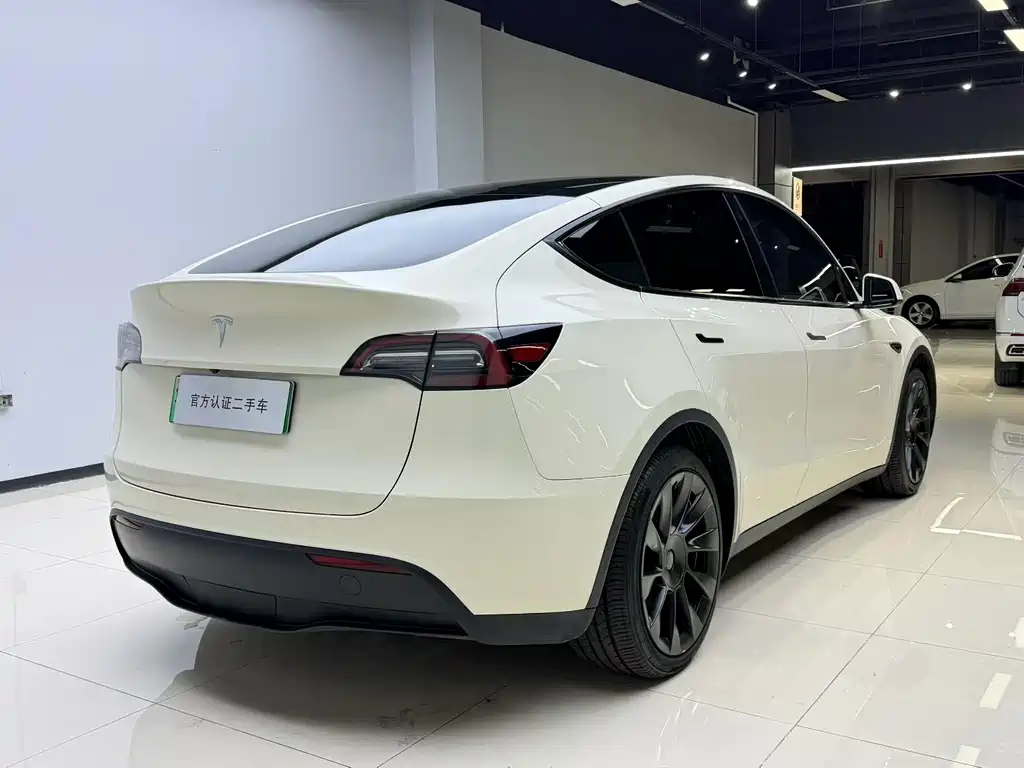 Tesla Model Y — миниатюра 4