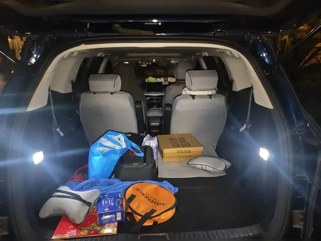BYD MAX New Energy — миниатюра 10