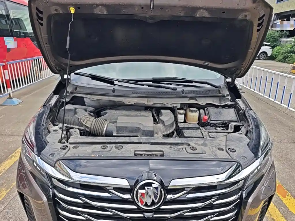 Buick GL8 — миниатюра 20