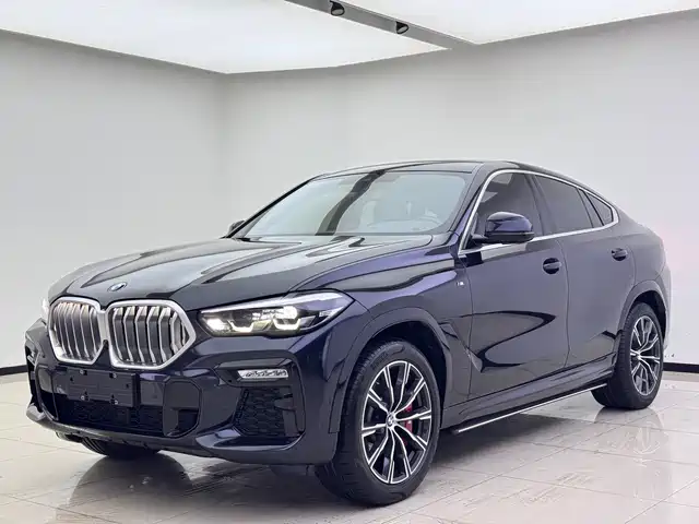 BMW X — фото 1