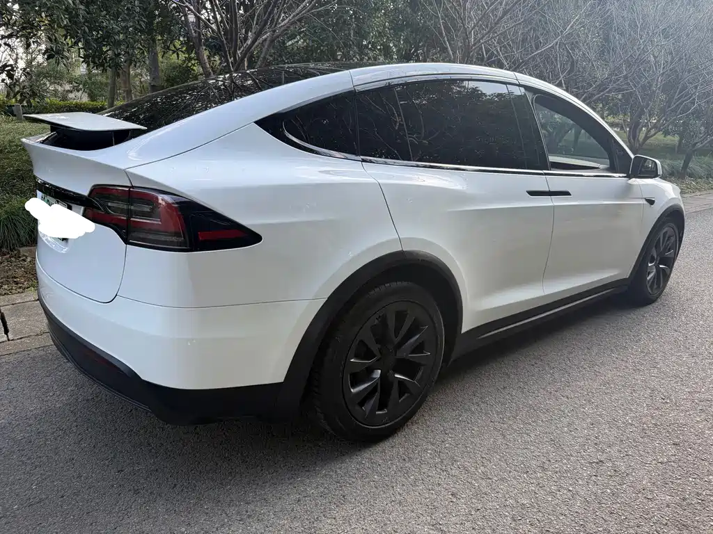 Tesla Model X 2023 — фото 9