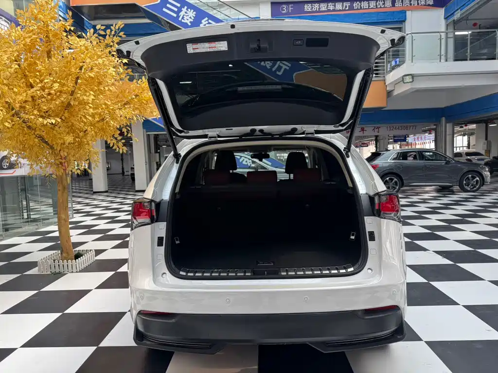 Lexus NX — миниатюра 10