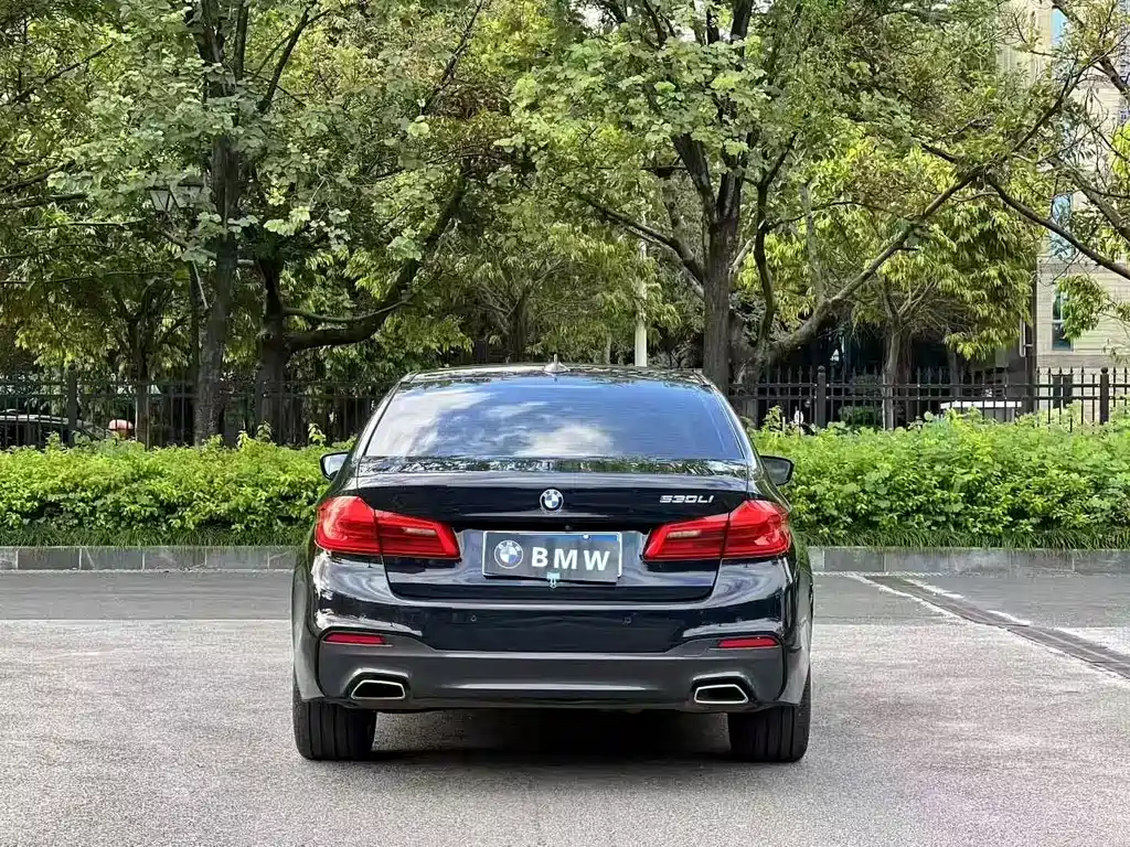 BMW 5 Series — миниатюра 5