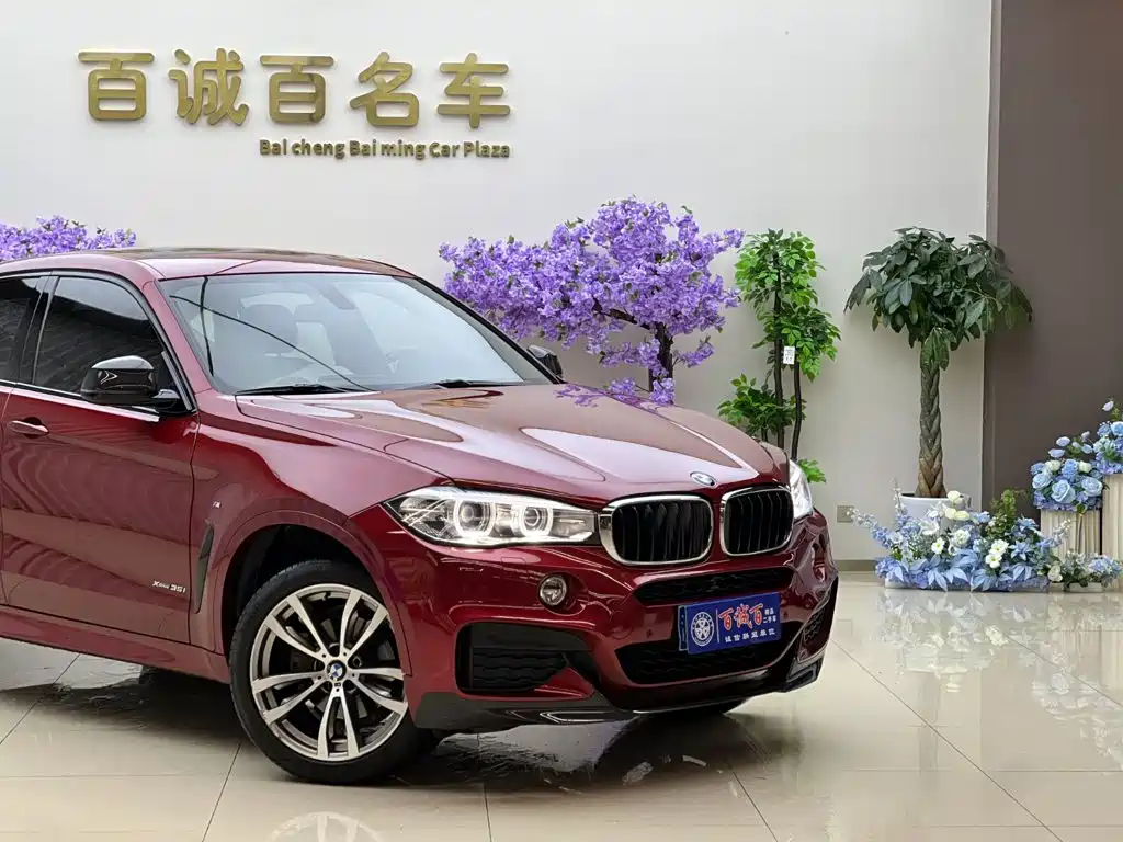 BMW X6 — миниатюра 4