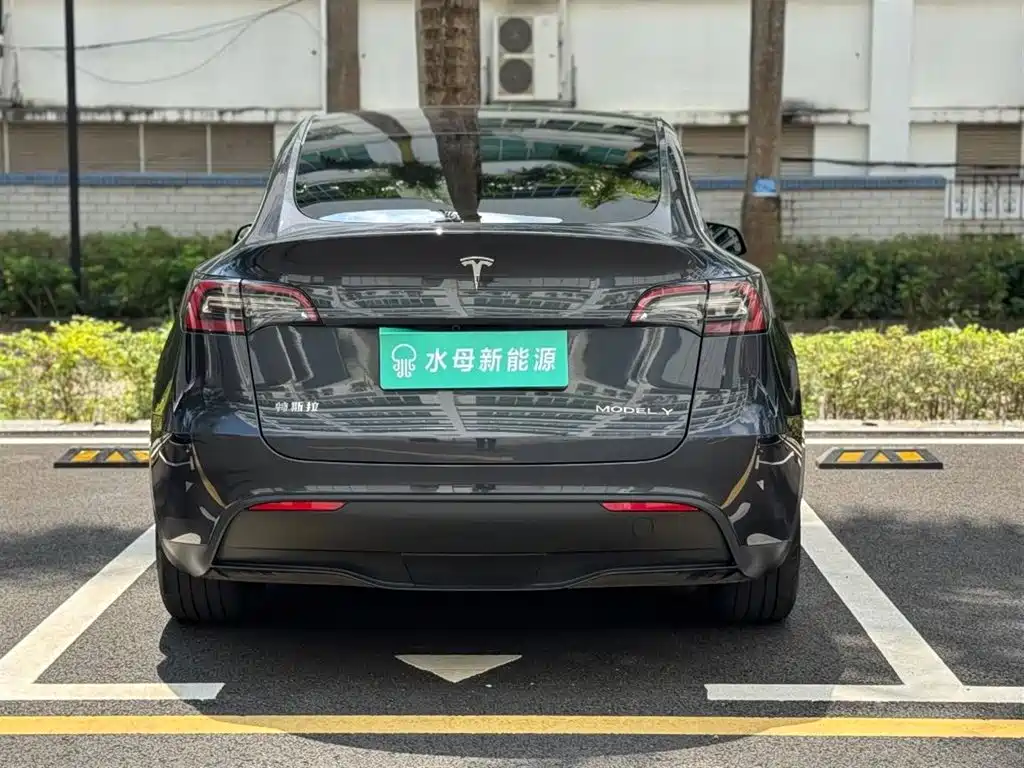 Tesla Model Y — миниатюра 7