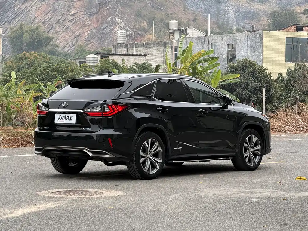 LEXUS RX