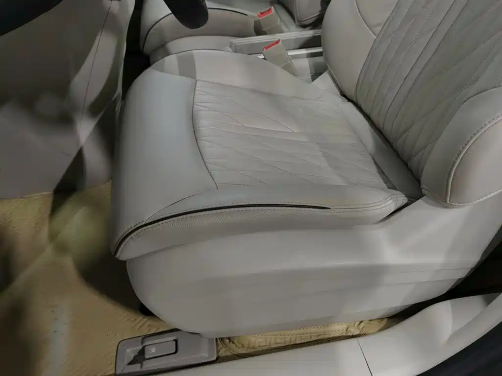 Buick GL8 — миниатюра 20