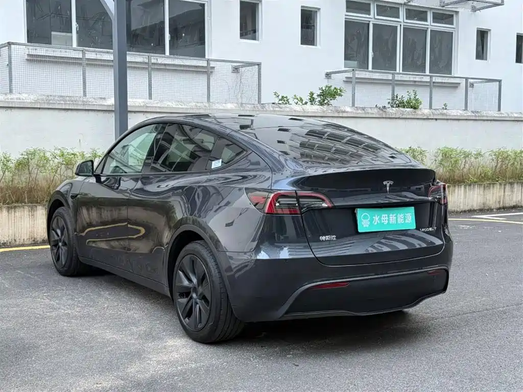 Tesla Model Y — миниатюра 6