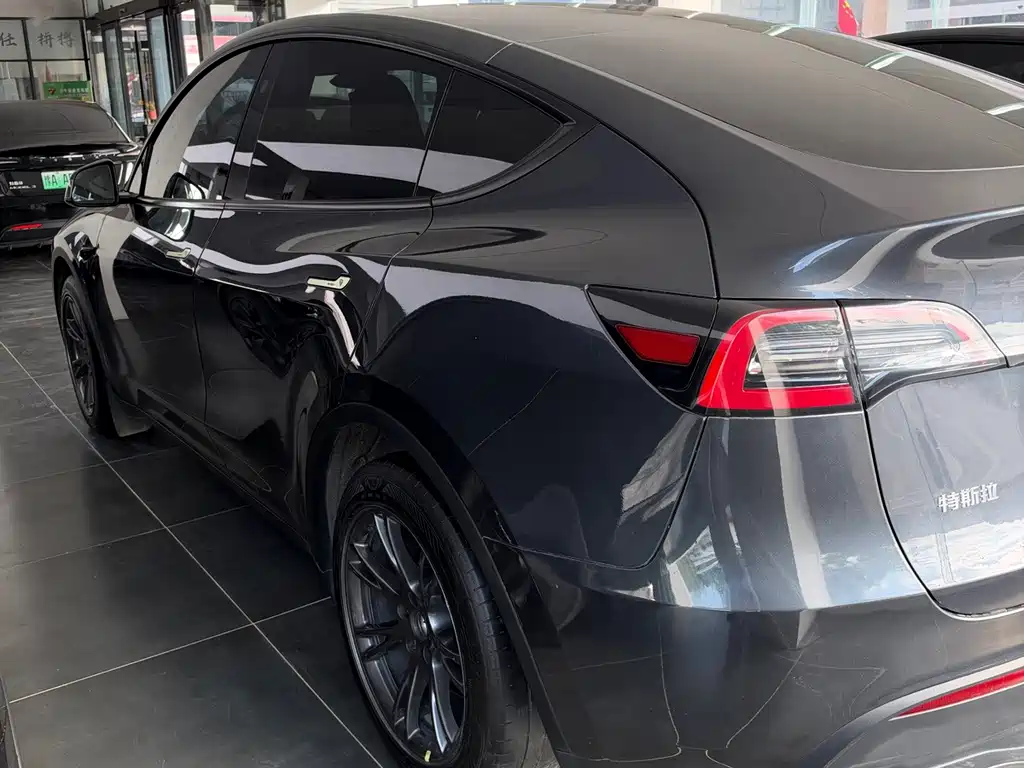 Tesla Model Y — миниатюра 4
