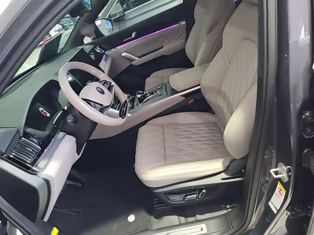 BYD Tang New Energy — миниатюра 15