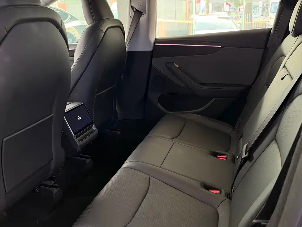 Tesla Model Y — миниатюра 7