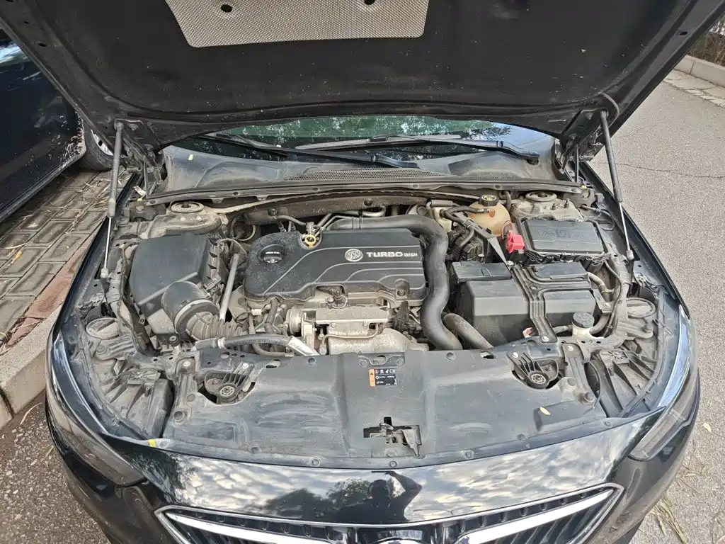 Buick Regal — миниатюра 16