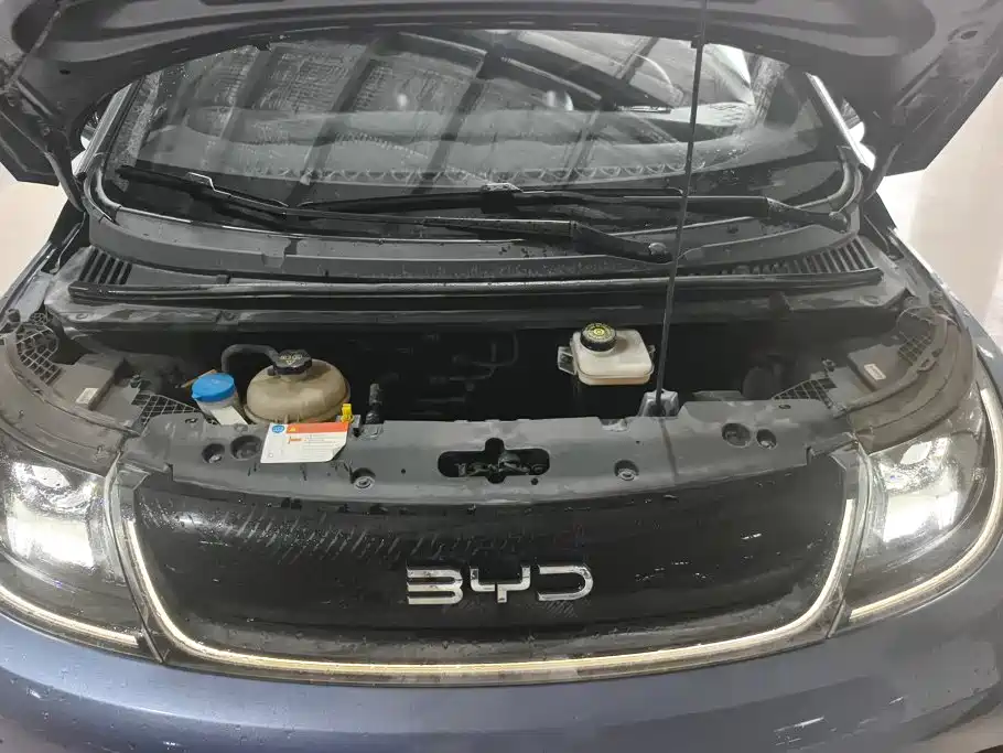 BYD Dolphin — миниатюра 10